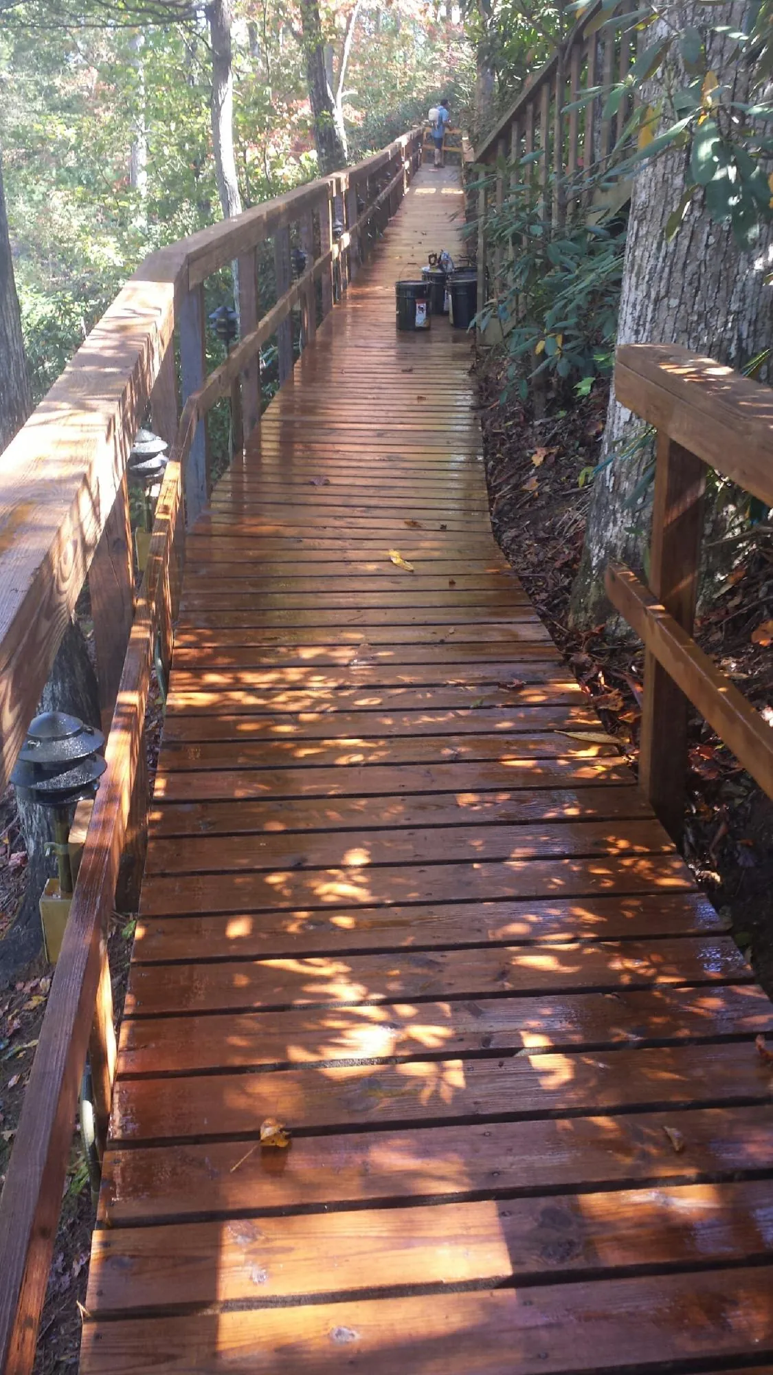 Freshly stained wood walkway winding through the woods in Perth Amboy
